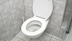 a commercial toilet the toilet needs repair if